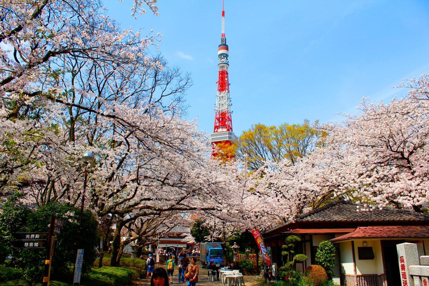 Rose Stay Tokyo Shiba Park Eksteriør billede